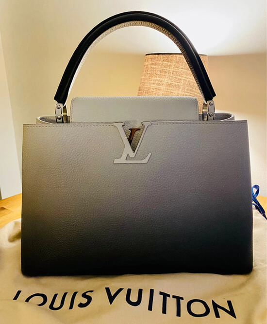 Louis Vuitton Capucines dupe bag  grey