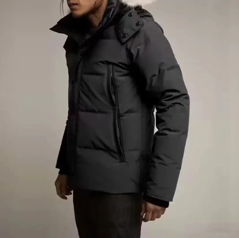 Winter Puffer Jacket For Men